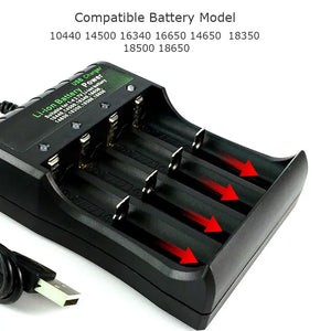 Eaiser-18650 Battery Charger Black 1 2 4 Slots AC 110V 220V Dual For 18650 Charging 3.7V Rechargeable Lithium Battery Charger