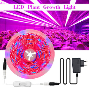 LED Plant Grow Strip lights Full Spectrum Flower phyto lamp Waterproof for Greenhouse Hydroponic Growth Light +Power adapter