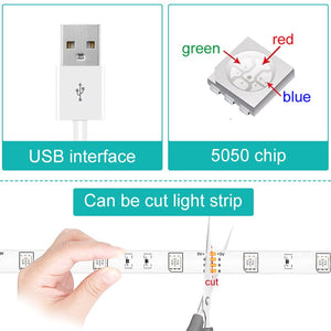 1M-30M Bluetooth LED Strip Light 5050 USB 5V RGB Lights Flexible LED Lamp Tape Ribbon RGB TV Desktop Screen BackLight Diode Tape