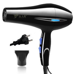 Eaiser 220V EU Plug Hot Cold Wind Professional Hair Dryer Blow Dryer Hairdryer For Hair Salon For Household Use